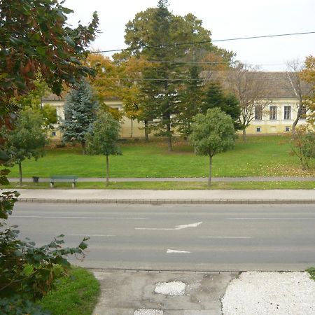 Szent Istvan Panzio Hodmezovasarhely Bagian luar foto