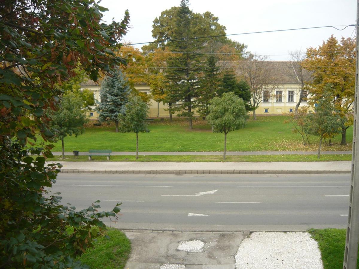 Szent Istvan Panzio Hodmezovasarhely Bagian luar foto